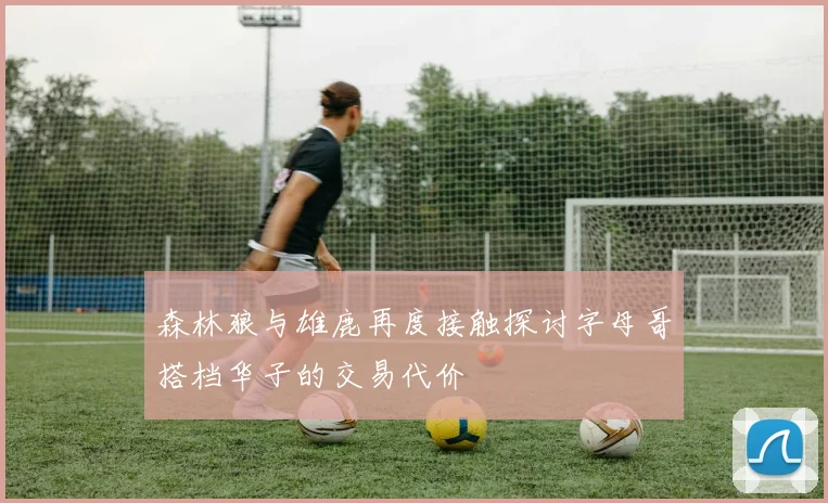 森林狼与雄鹿再度接触探讨字母哥搭档华子的交易代价
